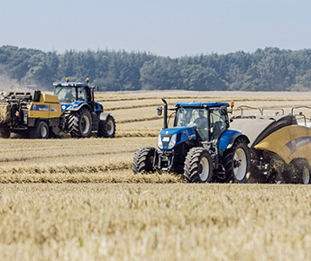 Traktoren mähen Weizen auf Feld.