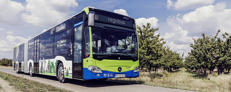 Hybridbus von regiobus Potsdam Mittelmark auf einer Brandenburger Landstraße